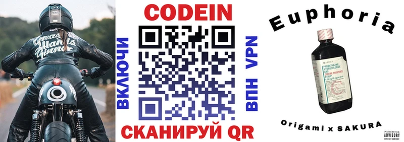 Купить закладки  Будённовск  Кодеиновый сироп Lean Purple Drank 