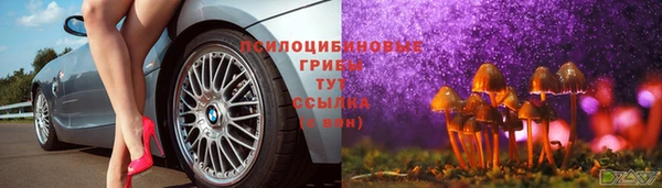 тгк Армянск
