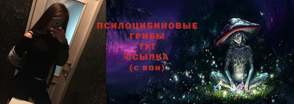 тгк Армянск