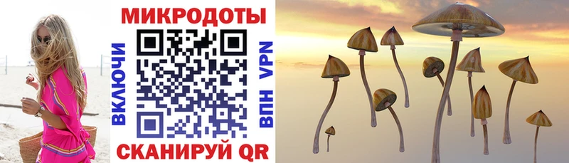 Купить где Будённовск Галлюциногенные грибы GOLDEN TEACHER